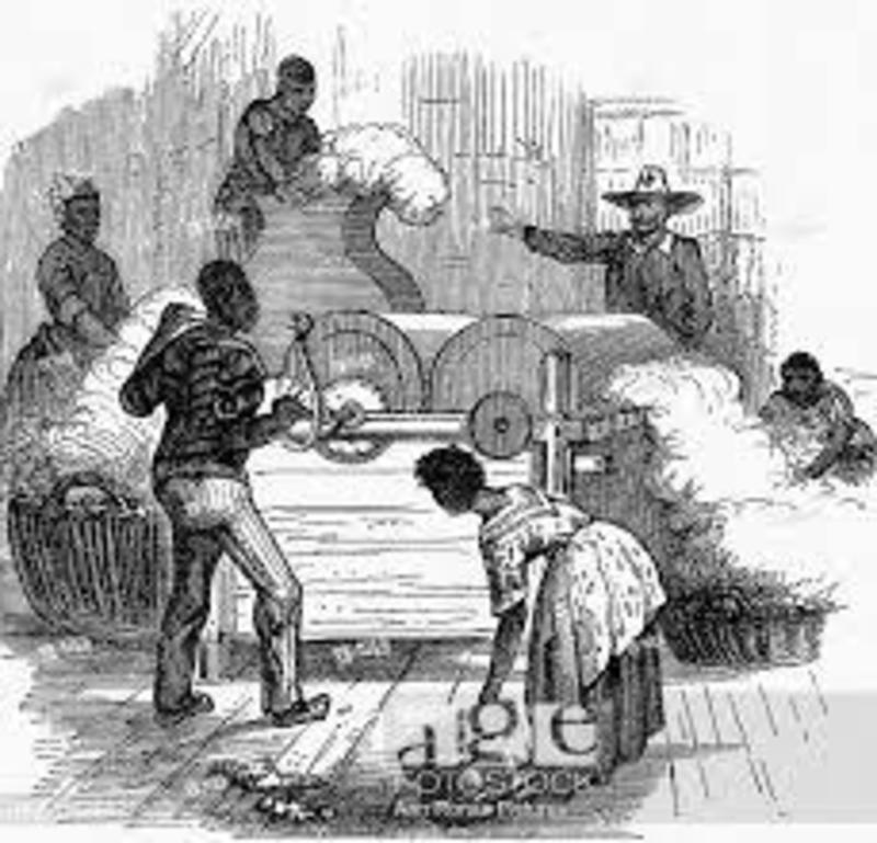 "Slave Labour"