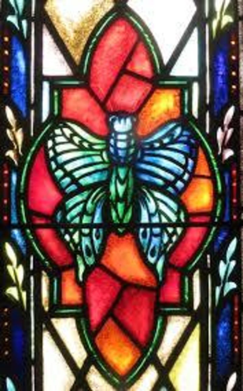 Butterfly Saints